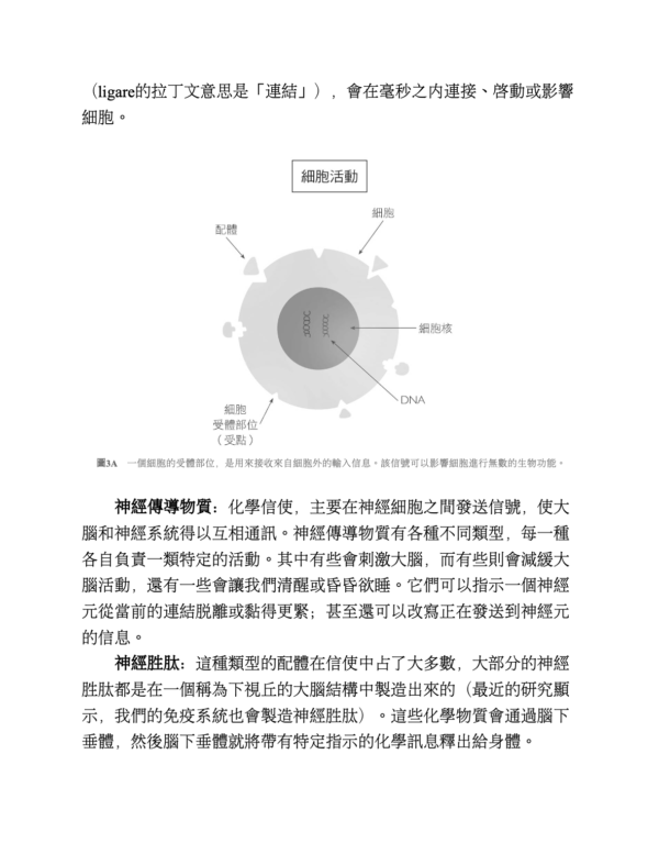 《未來預演》切斷情緒成癮神經鏈結，四週改變慣性腦迴路，換一個新未來｜静坐 显化 未来 潛意識｜PDF EPUB 電子書