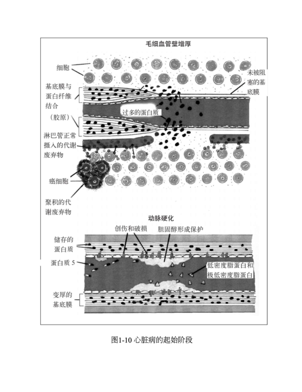 《神奇的肝胆排石法》｜干净的肝脏，健康的人生｜安德烈亚斯·莫里茨｜电子书 PDF EPUB