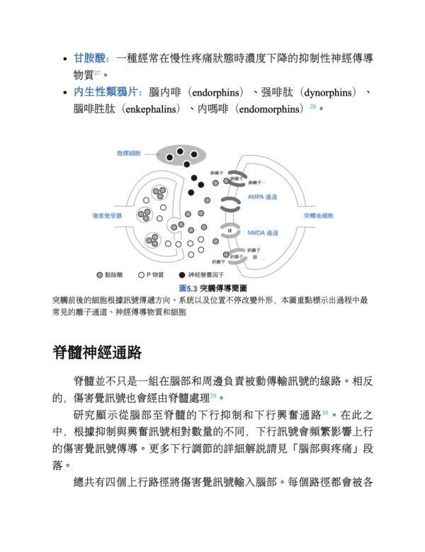 《疼痛科學✕瑜伽療法》結合物理治療、呼吸、神經、瑜伽，為慢性疼痛提供全面照護｜EPUB PDF 電子書