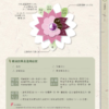 中醫芳療百科：150種精油╳8大體質，調理改善策略｜PDF 掃描版本電子書