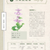 中醫芳療百科：150種精油╳8大體質，調理改善策略｜PDF 掃描版本電子書